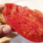 tosta con tomate