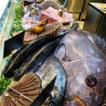 45685149_1935623636520636_5543498221474545664_n[1]