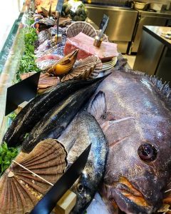 45685149_1935623636520636_5543498221474545664_n[1]