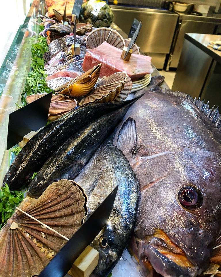 45685149_1935623636520636_5543498221474545664_n[1]