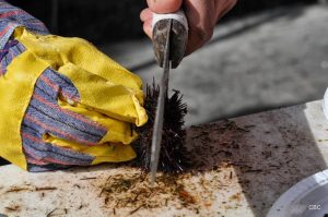 15965554_10211317004071708_8130492690833954317_n[1]