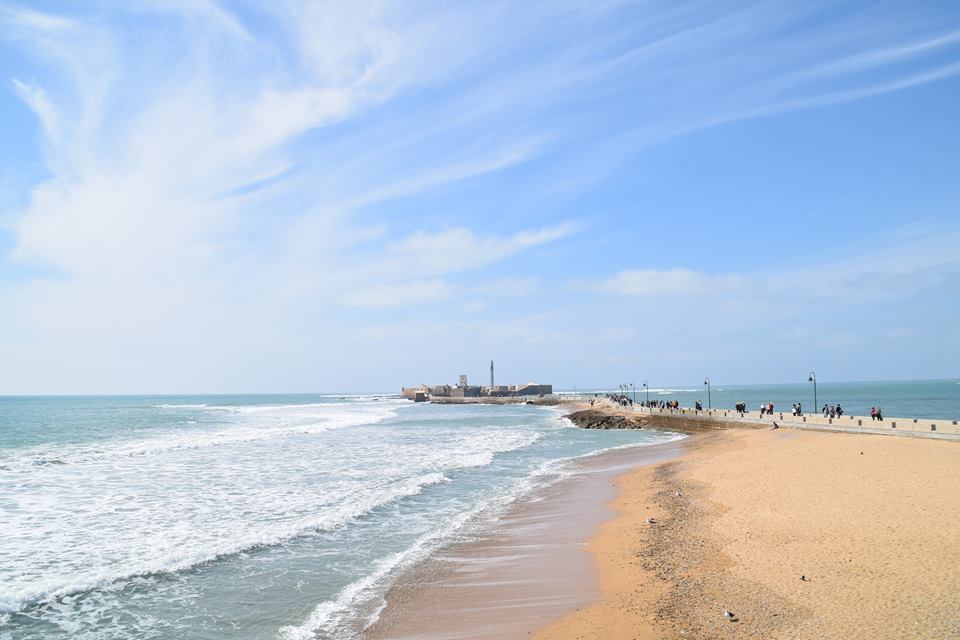 53208705_248176909399448_7474301671334477824_n