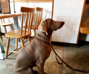 10 Restaurantes para 10 situaciones