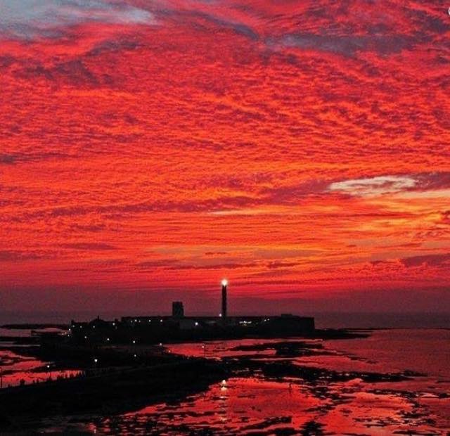 16938958_10210616360239044_1759129431491371499_n