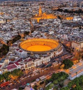 52952755_2244008865658407_7477301907854196736_n