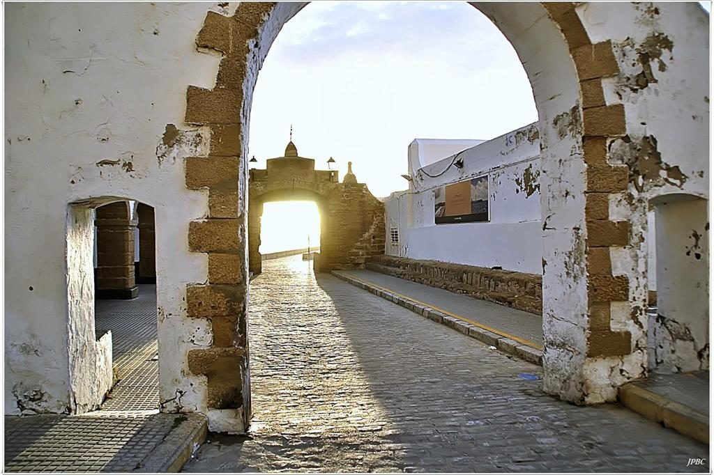 WhatsApp Image 2019-03-10 at 09.51.34