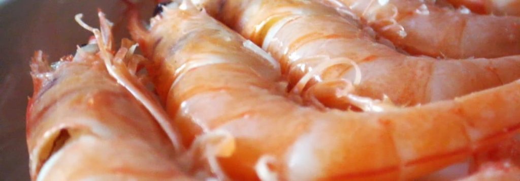 gamba-blanca-1440x500