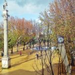 marisa-lomas-alameda-800x445