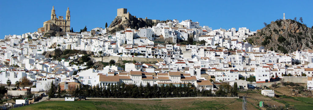 olvera