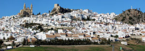 olvera