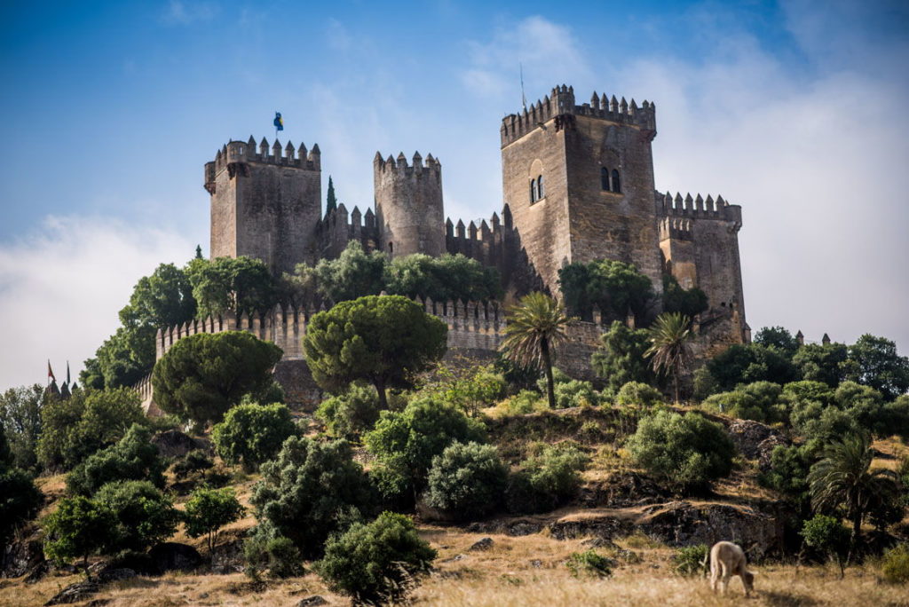 castillo almodovar