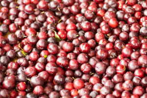 Fresh ripe red plums as a background