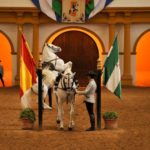 Noticia_2019_04_16.jpg_1243923208[1]