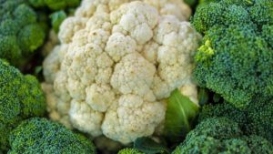 coliflor