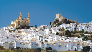 Medieval White Village