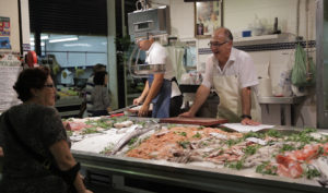 1566218666509ECEUabastosEst[1]