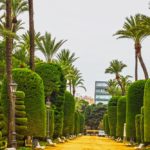 Parque-Genoves-Cadiz