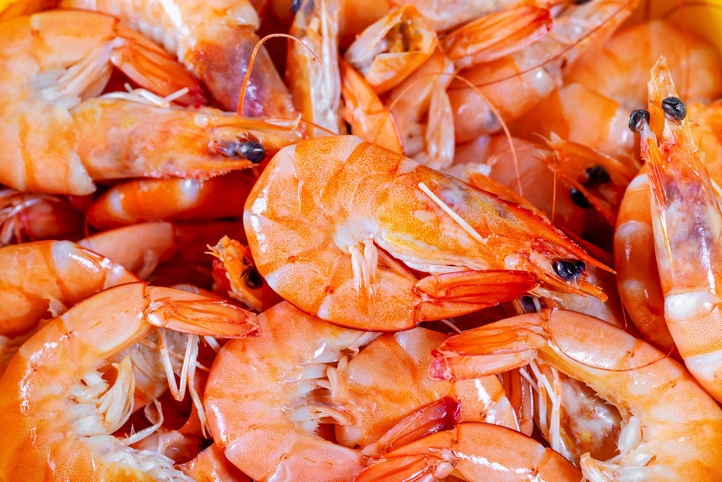 Boiled shrimp. Seafood background