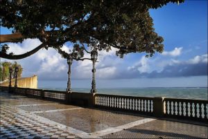 1896986_736841756333656_1196761170_n