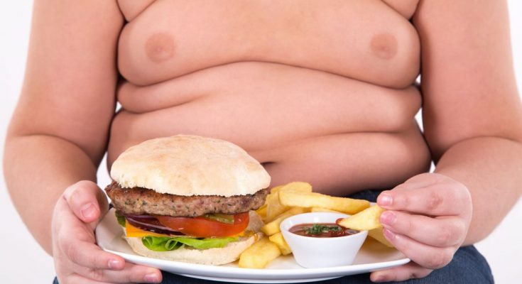 obesidad-infantil-segundoenfoque-1-735x400