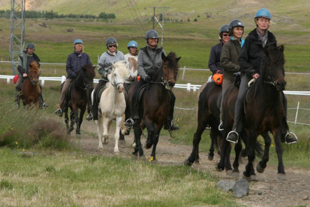 ruta-caballo-circulo-oro-islandia