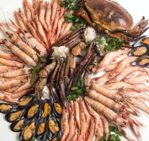 FRIGORIFICOS-MARIN013