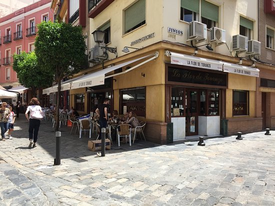 exterior-de-la-flor-de