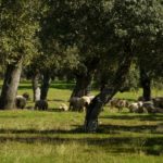 image_201571_jpeg_470x324_q85