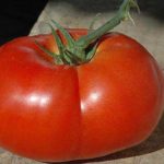 tomate-los-palacios-644x362--644x362
