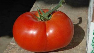 tomate-los-palacios-644x362--644x362