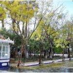 10926400_944258865591943_4873538718001153039_n