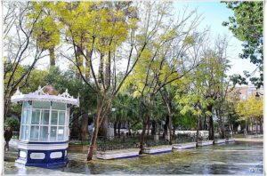 10926400_944258865591943_4873538718001153039_n