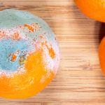 Moldy mandarin on the boards kitchen.