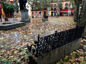 10846512_10154984156495038_1229622082753648766_n