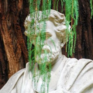 18623215_10212599696618220_9220828972637662745_o