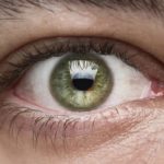 89789096_10157665480345266_6506714692814110720_n