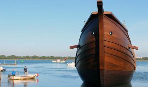 1581594757586CYPNaoVictoria1[1]