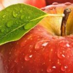 Actualidad_112749911_129381092_1024x576