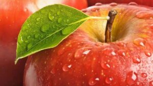 Actualidad_112749911_129381092_1024x576