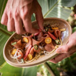 336174531_169132142709148_1765147418103138987_n